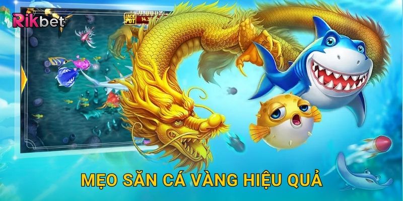 Mẹo săn cá vàng hiệu quả