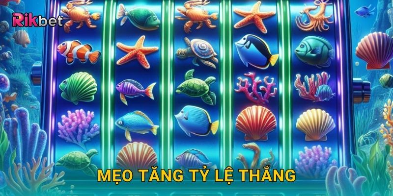 Mẹo tăng tỷ lệ thắng